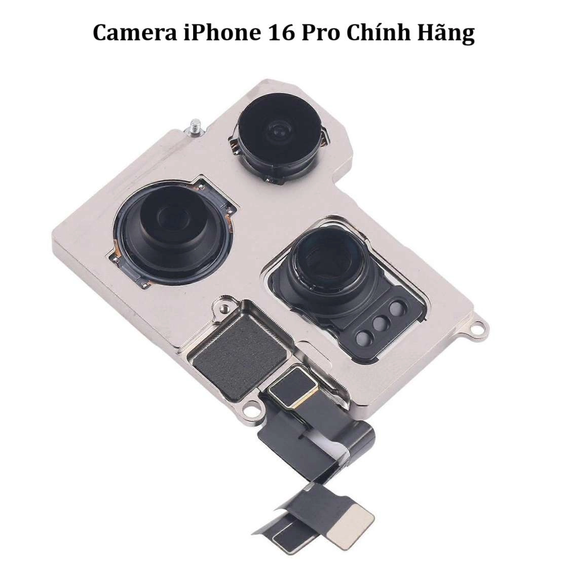Tác động của nhiệt độ cao - Nguy cơ thường bị bỏ qua